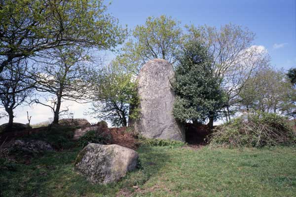 Click for the gallery page to add comments and vote (PID:54848) Menhir de Cosquer Jehan
