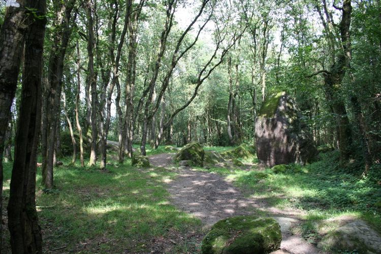 Click for the gallery page to add comments and vote (PID:32995) Guihallon menhir