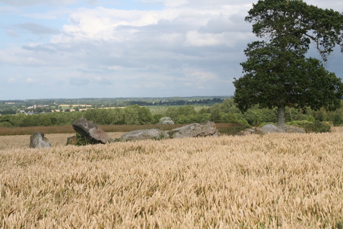 Hard to reach passage grave in the middle of a wheat field, in rather bad shape
