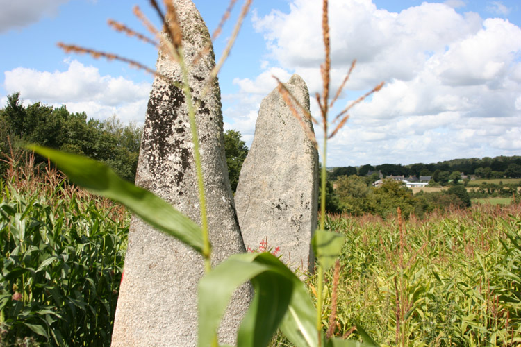 Menhirs dits Les Jumeaux