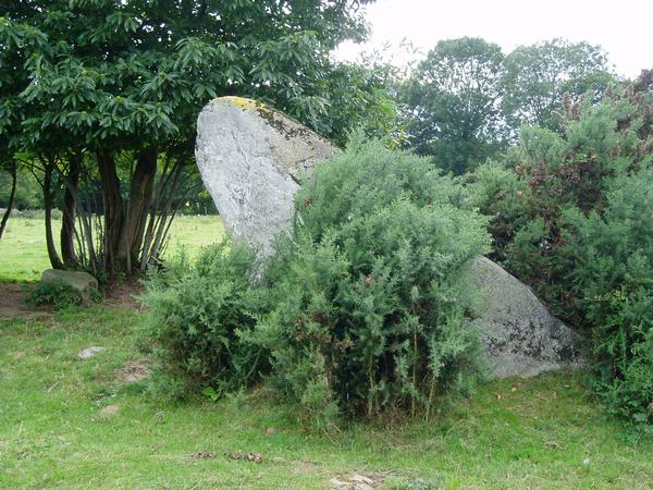 
La Coudre menhir - leans due to being disturbed by 19th century treasure seekers.