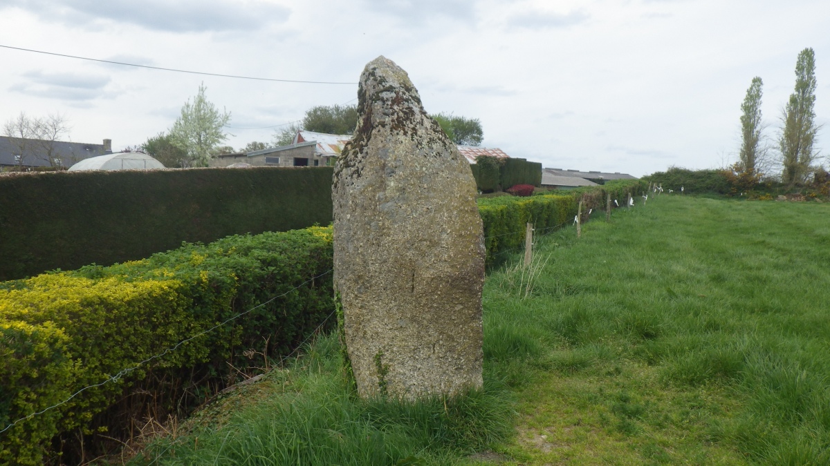 Menhirs des Roches Longues