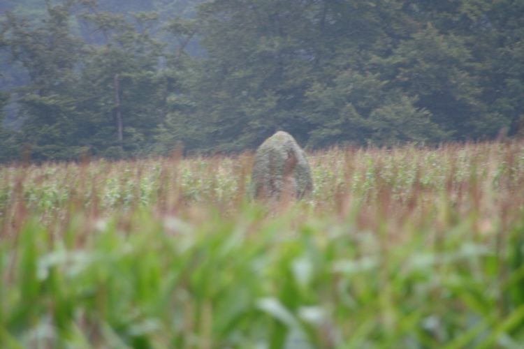 Click for the gallery page to add comments and vote (PID:33349) Pasquiou menhir