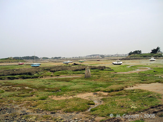 Toenno menhir