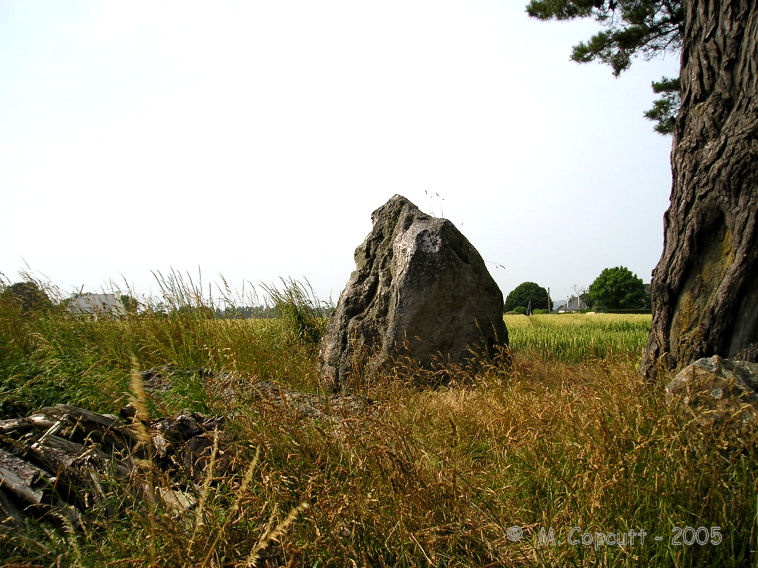 Click for the gallery page to add comments and vote (PID:44447) Dolmen de Ville Goudier