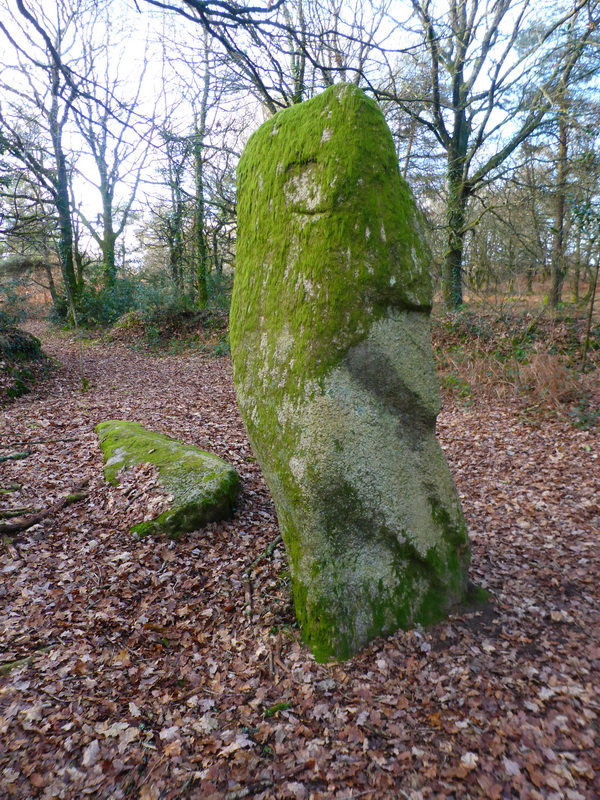 Menhir Le Guellec