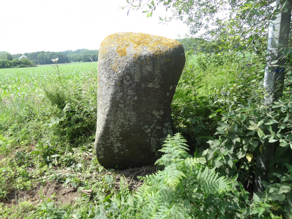 Click for the gallery page to add comments and vote (PID:260759) Menhir de Launay