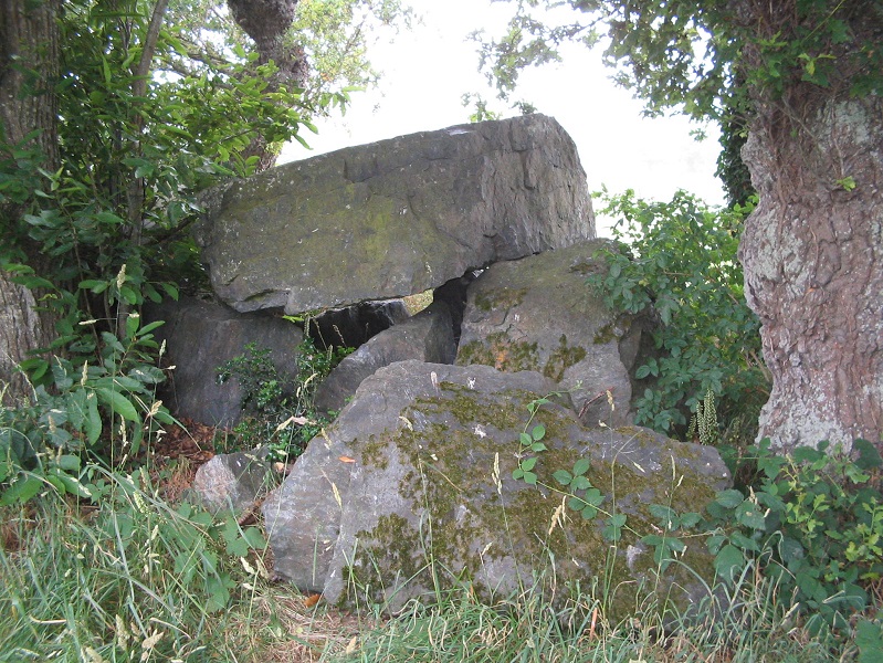 Allée Couverte dite la Roche-Camio