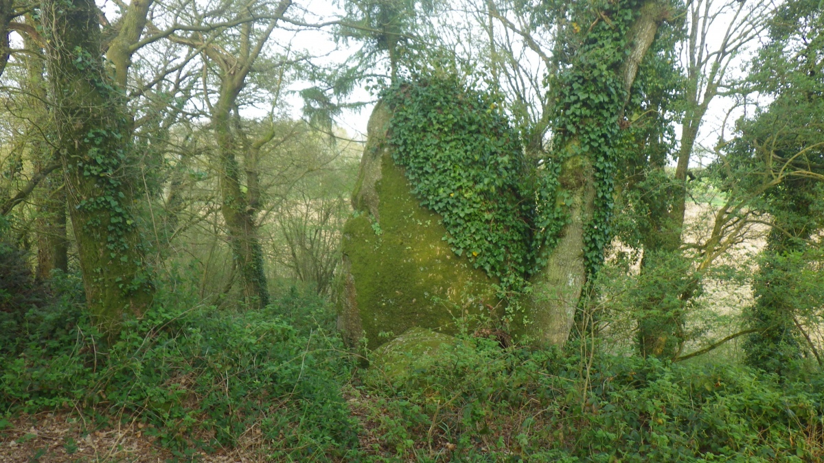Click for the gallery page to add comments and vote (PID:275997) Menhir de la Norhant