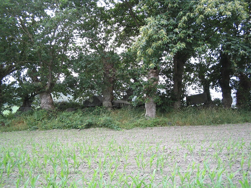 Allée Couverte dite la Roche-Camio