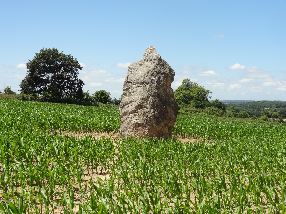 Click for the gallery page to add comments and vote (PID:245949) Roche Longue de Guitté