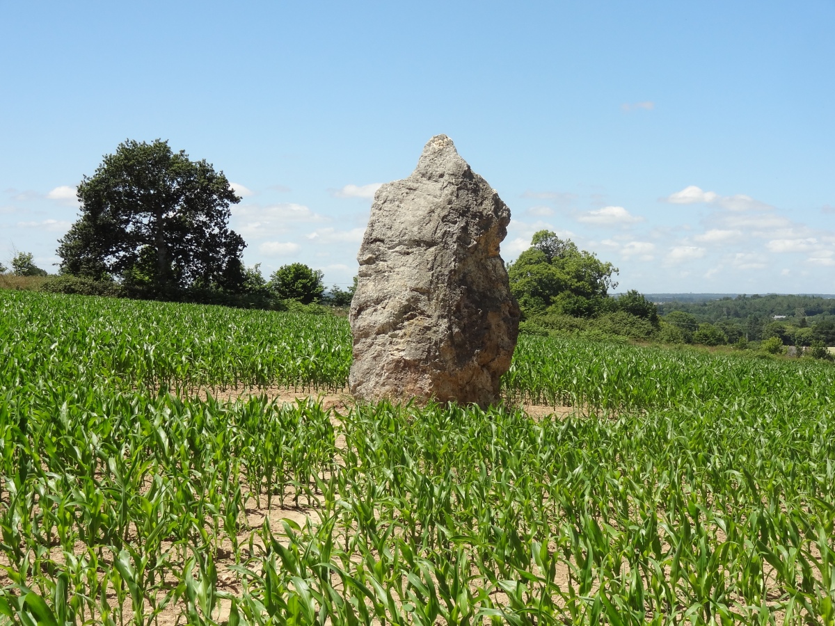 Roche Longue de Guitté