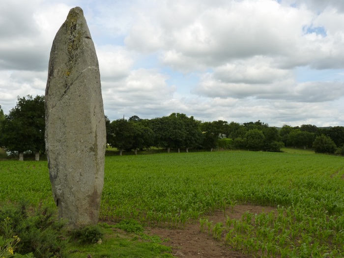 La Roche Longue (Quintin)