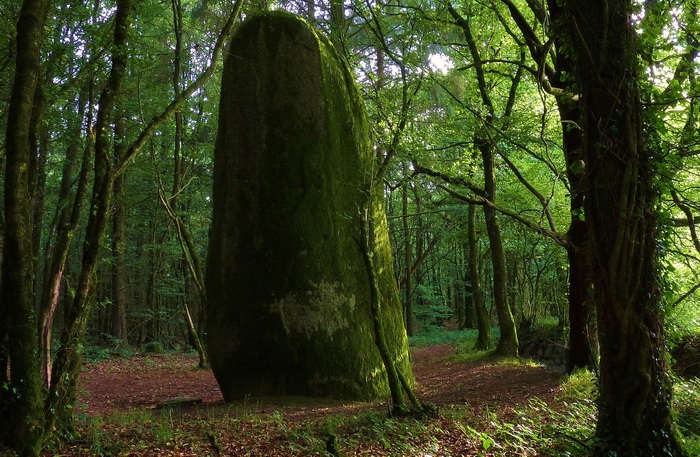 Coat Castel menhir