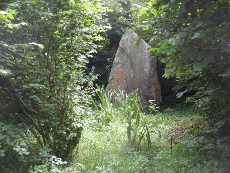 Click for the gallery page to add comments and vote (PID:101131) Menhir du Run