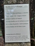 Pellionnaie menhir
