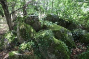 Chêne Hut allée couverte - PID:122061