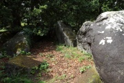 Chêne Hut allée couverte - PID:122060