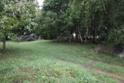 Chêne Hut allée couverte - PID:122057