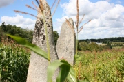 Menhirs dits Les Jumeaux - PID:16469