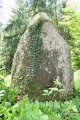 Menhir de Kercourtois 1 - PID:21513