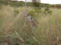 Parc-ar-Peulvennic
