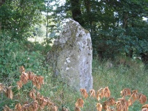 La Roche (Uzel)