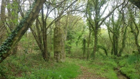 Menhir Le Fuseau (Plaine-Haute)