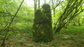 Menhir de Kerjégu 1
