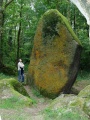Guihallon menhir - PID:32764