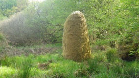 Lampaul Huellan