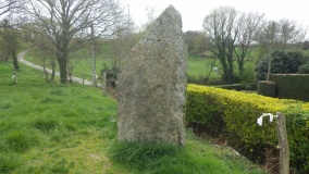 Menhirs des Roches Longues