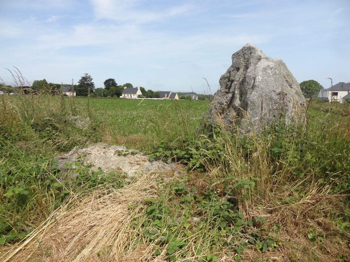 Dolmen de Ville Goudier