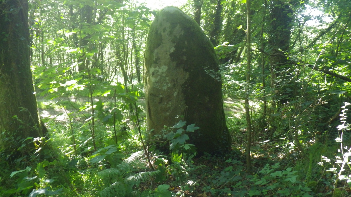 Menhir de Cornec
