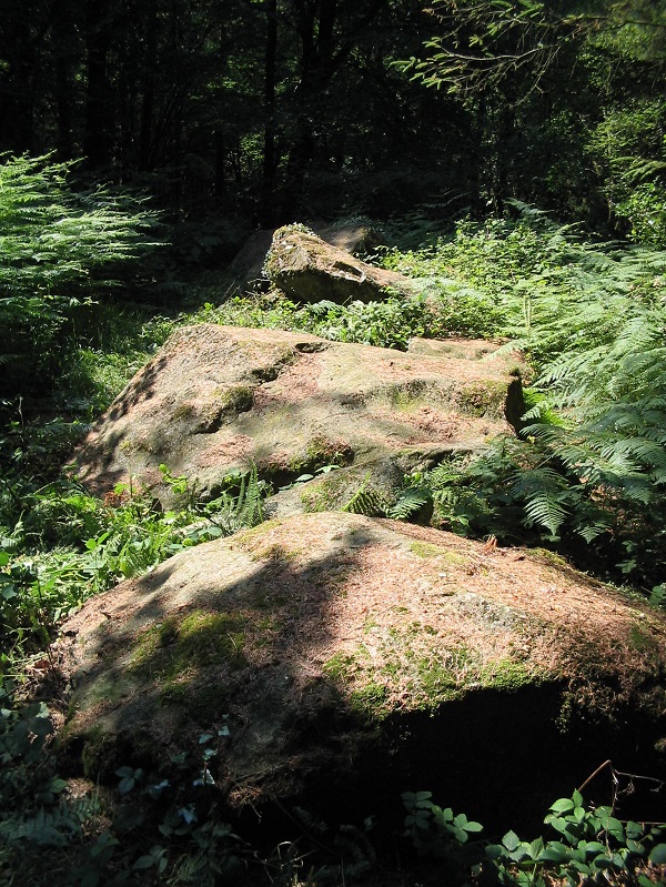 Click for the gallery page to add comments and vote (PID:190592) Allée Couverte de Brohet