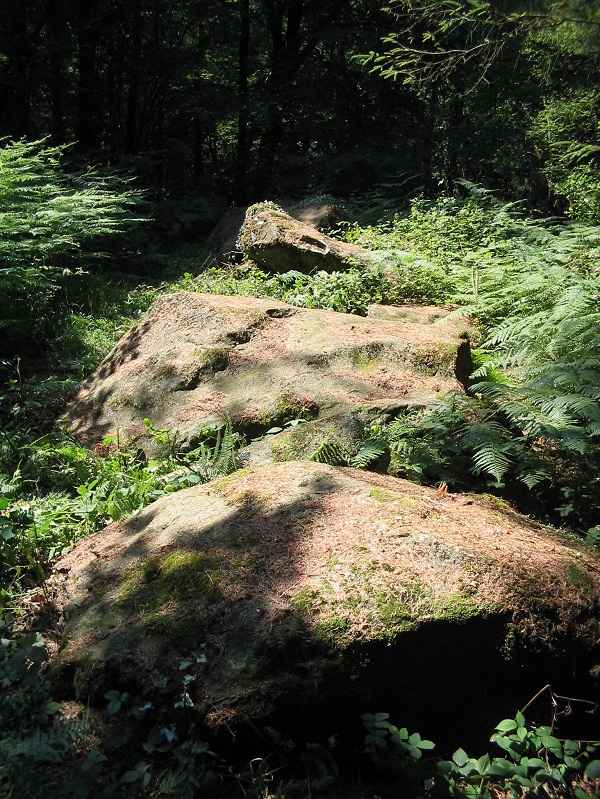 Allée Couverte de Brohet