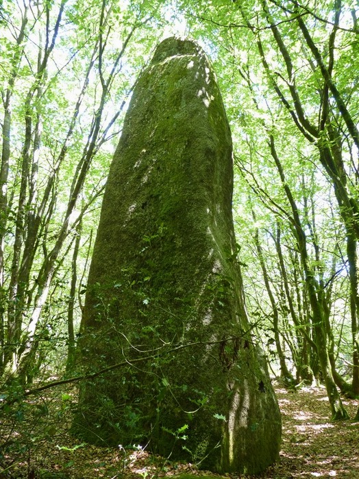 Menhir dit la Dent de Saint-Servais