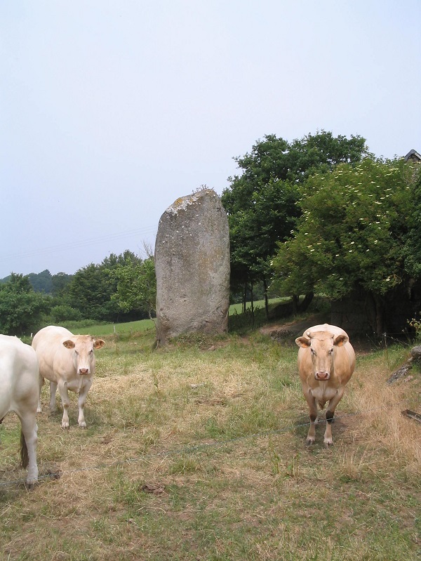 Men Bras menhir