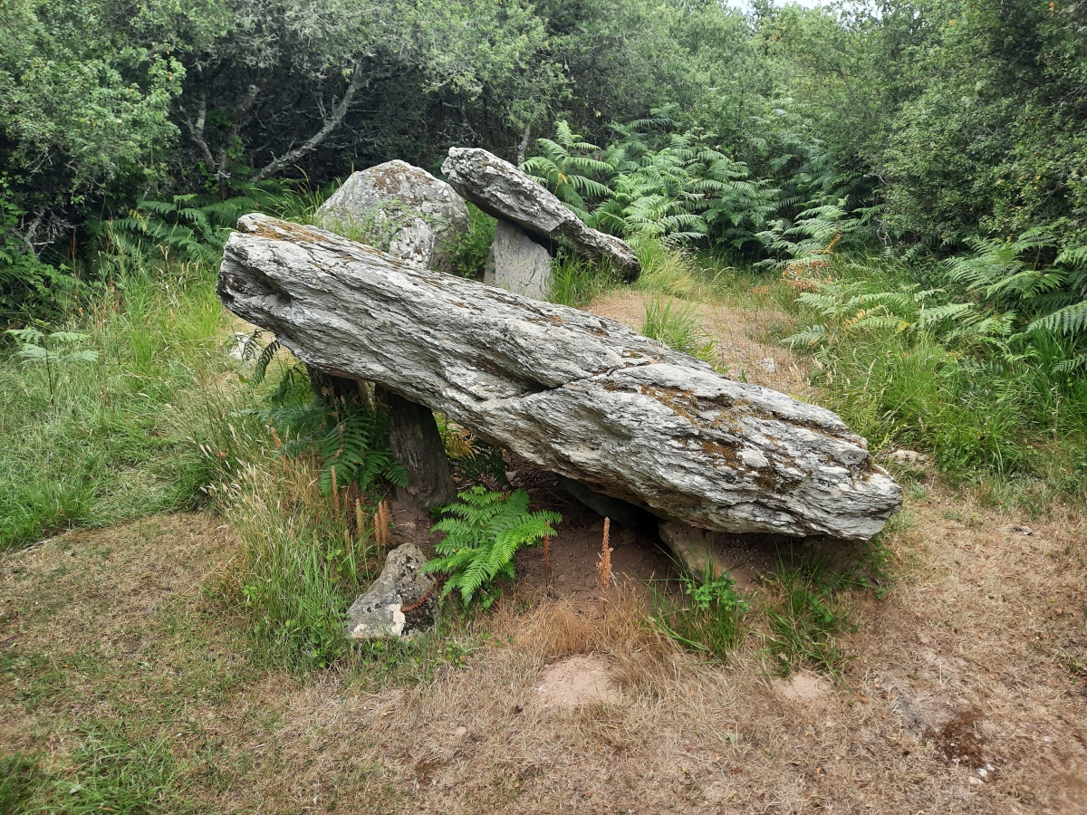 Click for the gallery page to add comments and vote (PID:246405) Allée Couverte de Kerrohet