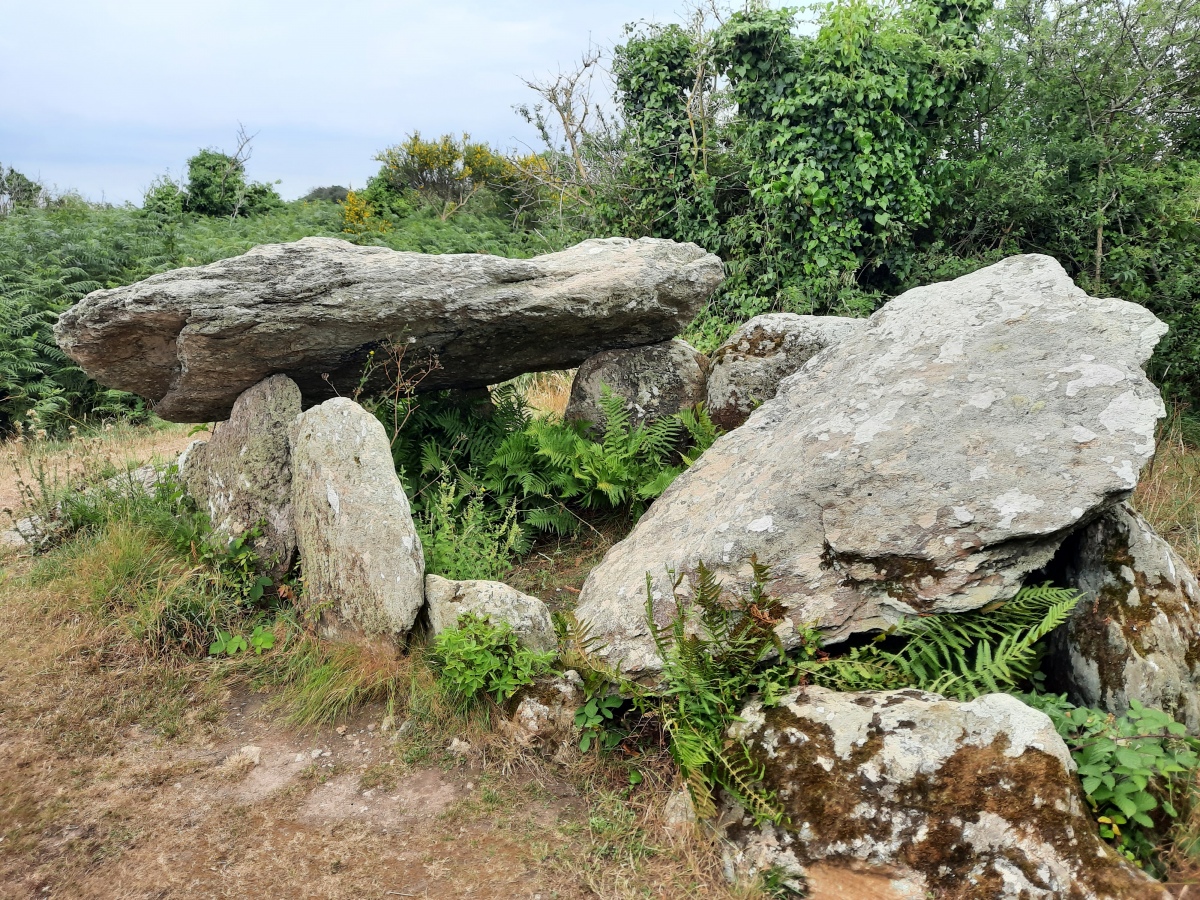 Click for the gallery page to add comments and vote (PID:246413) Dolmen de Port-Mélite