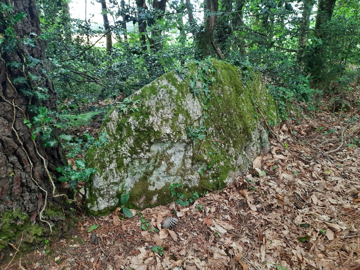 Click for the gallery page to add comments and vote (PID:246455) Dolmen de Mané Guillo