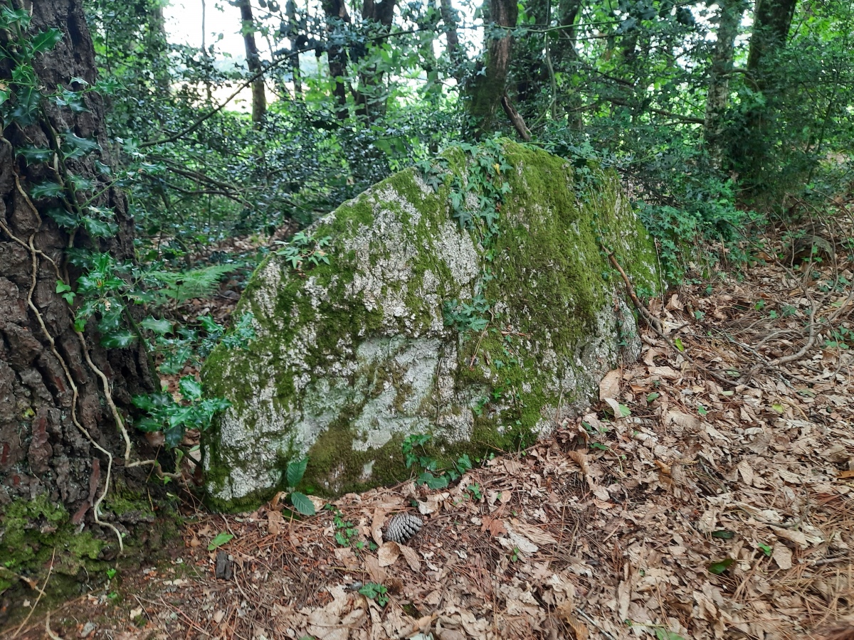 Dolmen de Mané Guillo