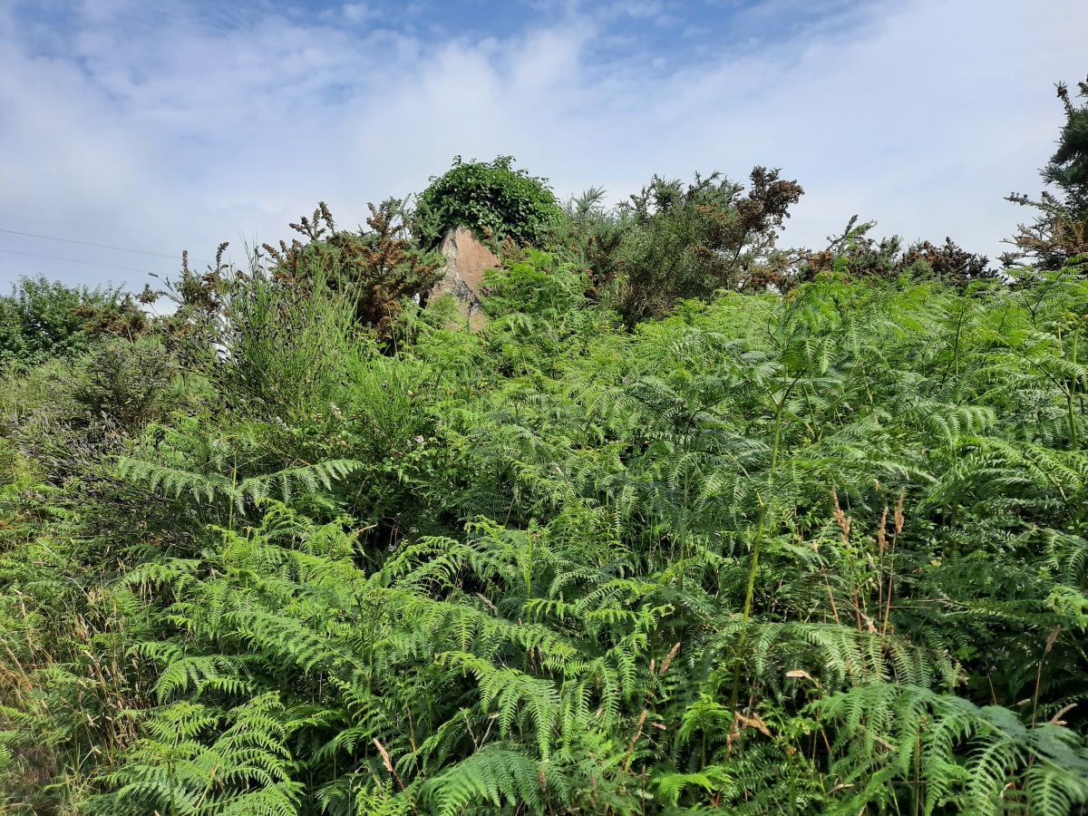 Click for the gallery page to add comments and vote (PID:246462) Sac'h Quéven menhir