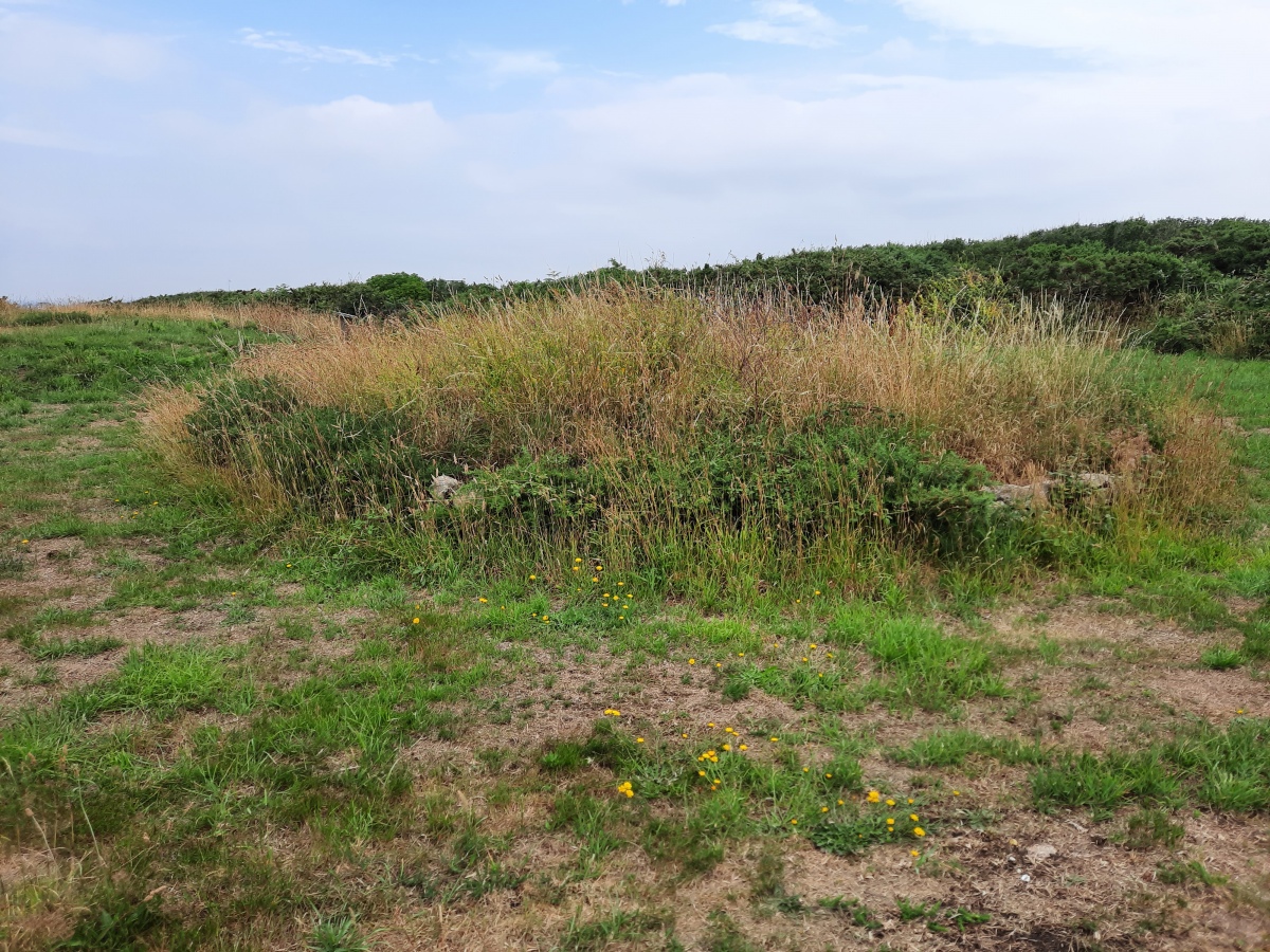 Click for the gallery page to add comments and vote (PID:246481) Tumulus de Kerham