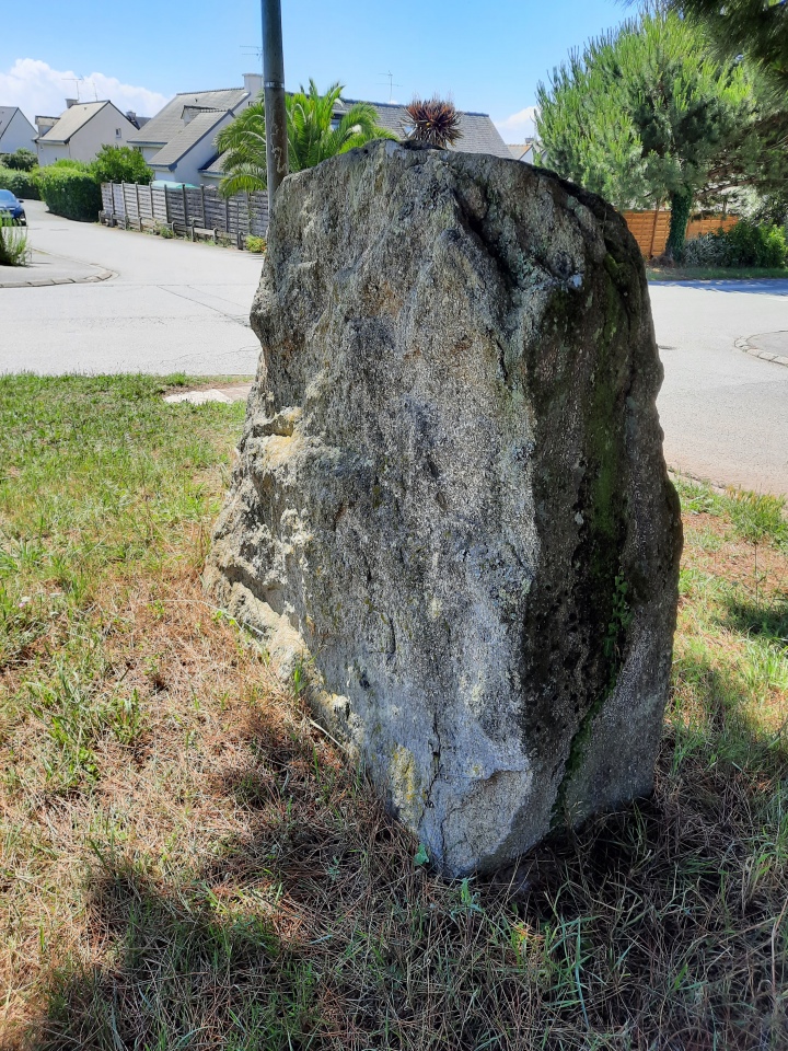 Click for full size image of Menhir dit Er Herine (PID:247899) Menhir dit Er Herine