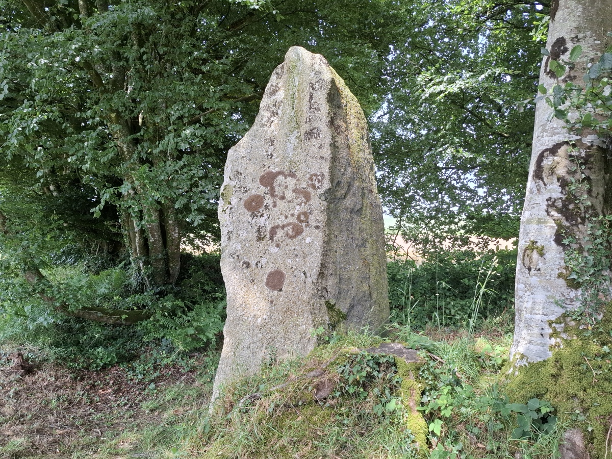 Alignement de Guernangoué