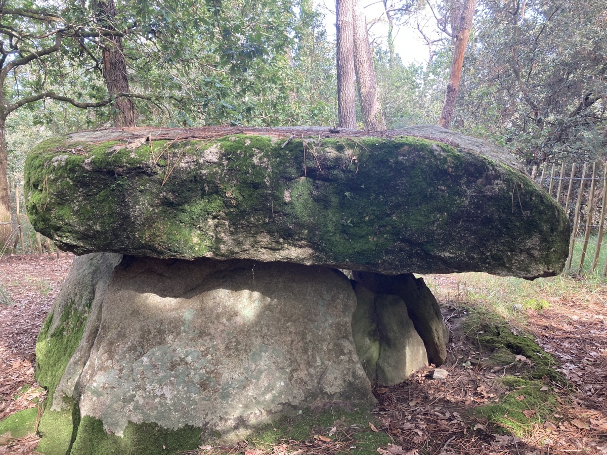 Click for full size image of Dolmen de Mané-Carnaplaye 1 (PID:264700) Dolmen de Mané-Carnaplaye 1