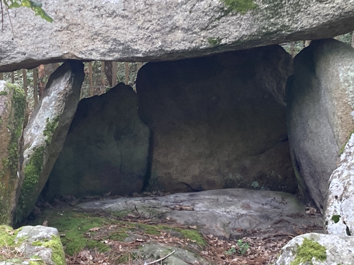 Click for full size image of Dolmen de Mané-Carnaplaye 1 (PID:264701) Dolmen de Mané-Carnaplaye 1