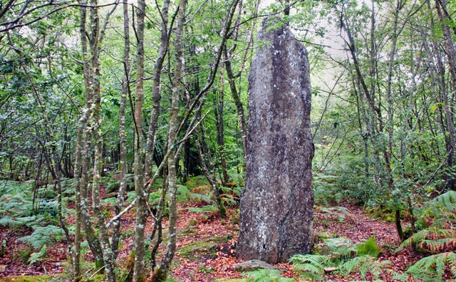 Click for the gallery page to add comments and vote (PID:91939) Bugul er Hoët menhir