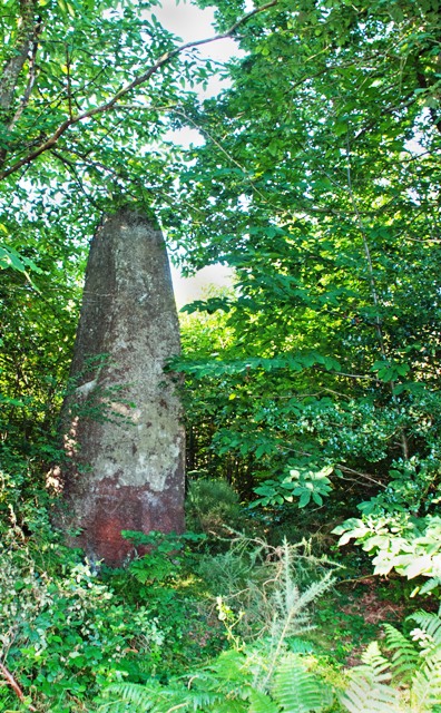 Click for the gallery page to add comments and vote (PID:92065) Cosquéro menhir